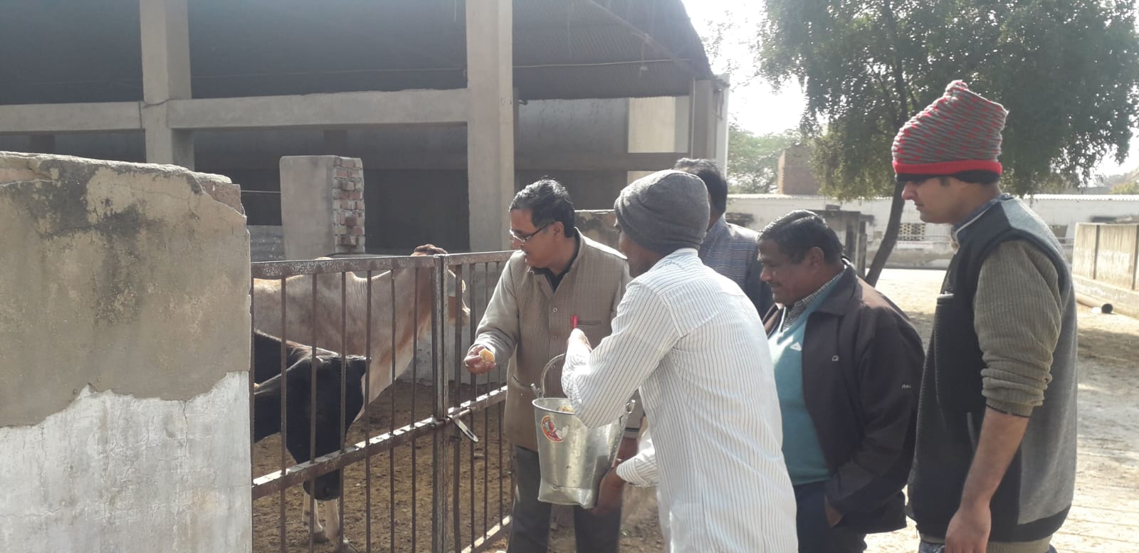 92e205a8-0887-43e1-9d85-c379a018e621